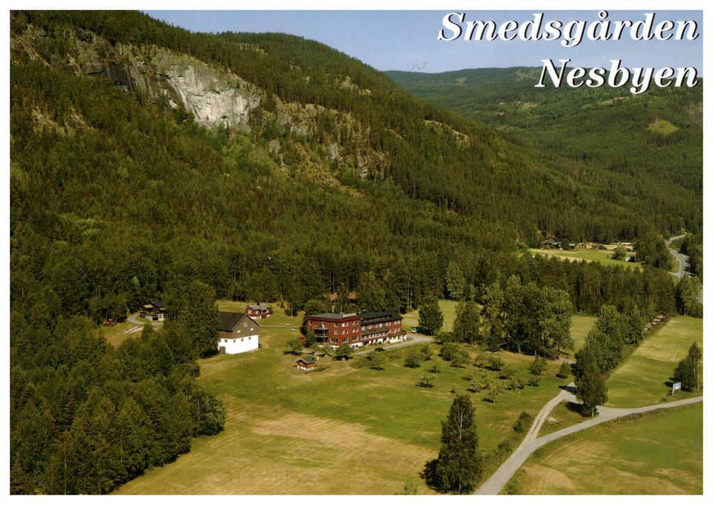Smedsgarden Hotel ネスビン エクステリア 写真